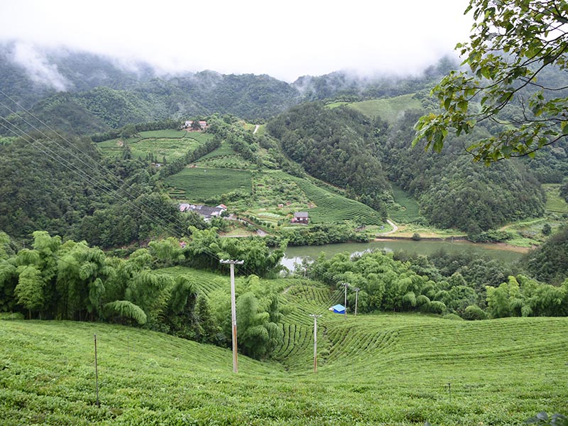 基地照片-12